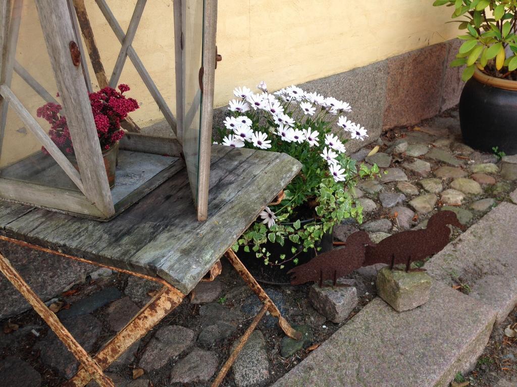 Birkende Bed And Breakfast Langeskov Екстер'єр фото