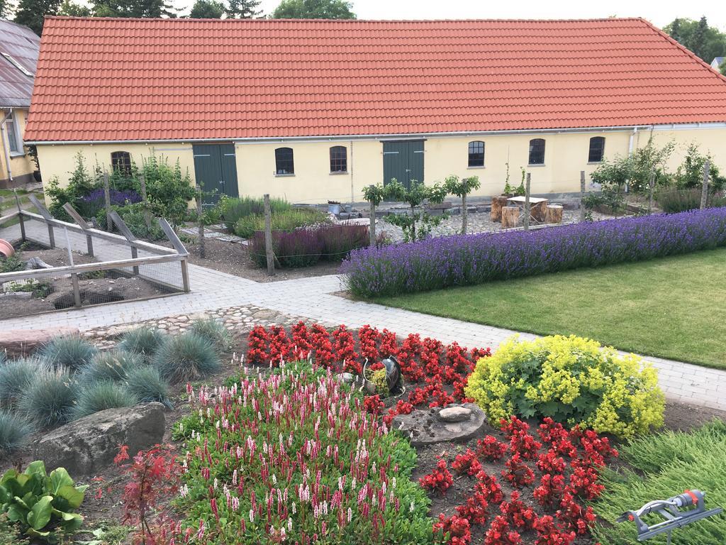 Birkende Bed And Breakfast Langeskov Екстер'єр фото