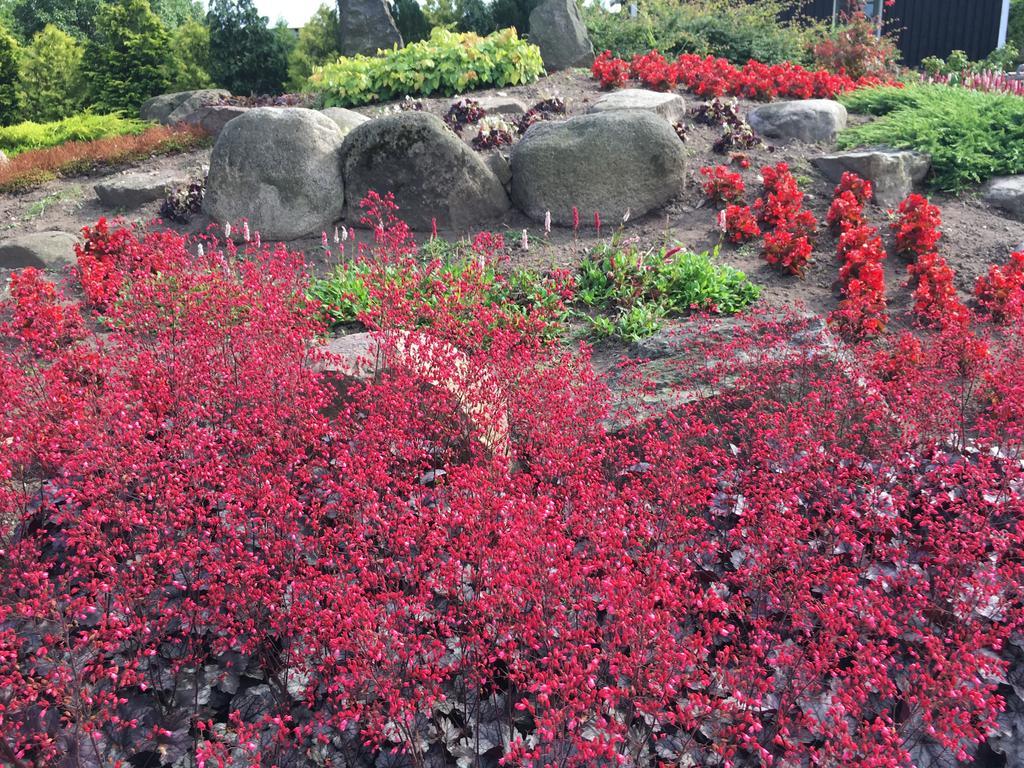 Birkende Bed And Breakfast Langeskov Екстер'єр фото