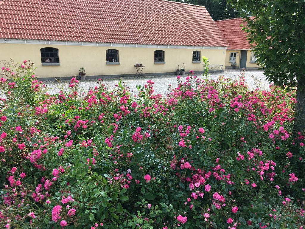 Birkende Bed And Breakfast Langeskov Екстер'єр фото